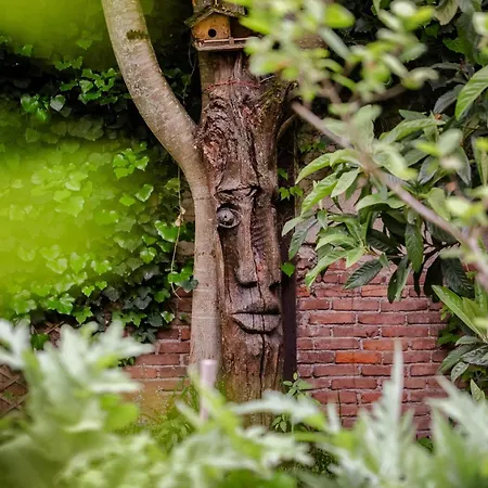 Maison - Casa Li Re - Albi Buitenkant foto